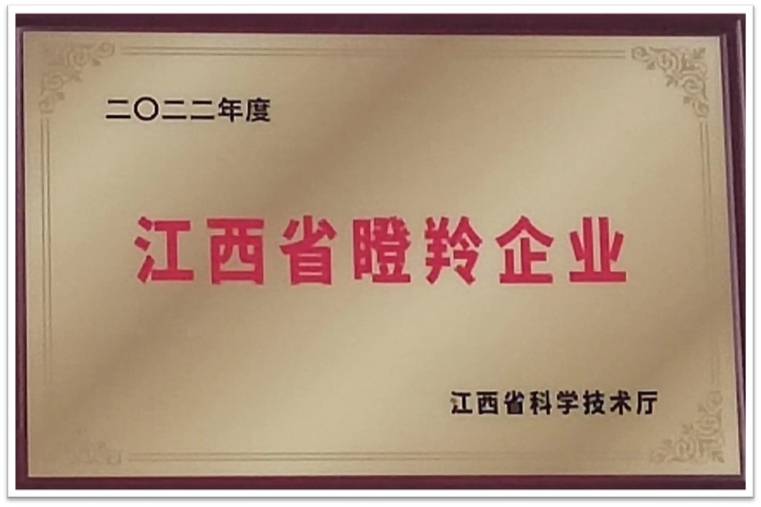 江西省瞪羚企業