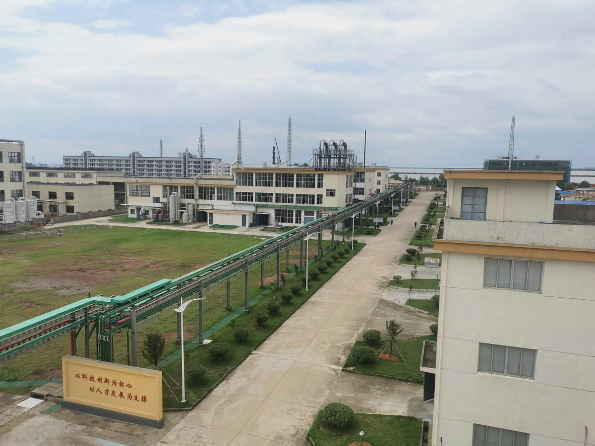 企業(yè)展示